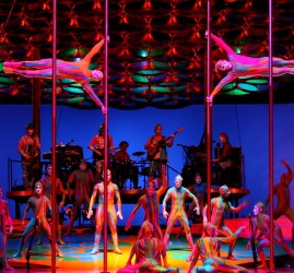 Шоу Cirque du Soleil «Totem» 2017